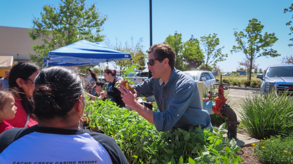 'Homegrown Health Event' Provides Free Vegetable Plants To Woodland Children - Daily Democrat