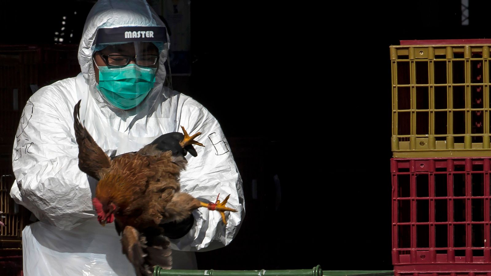 Bird flu infection in Chilean man has 'worrying' mutations |  world news