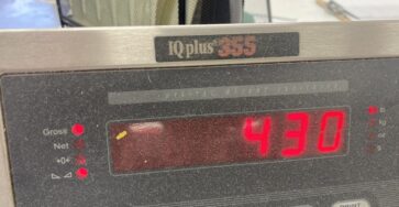 Scale indicating the weight of the food given