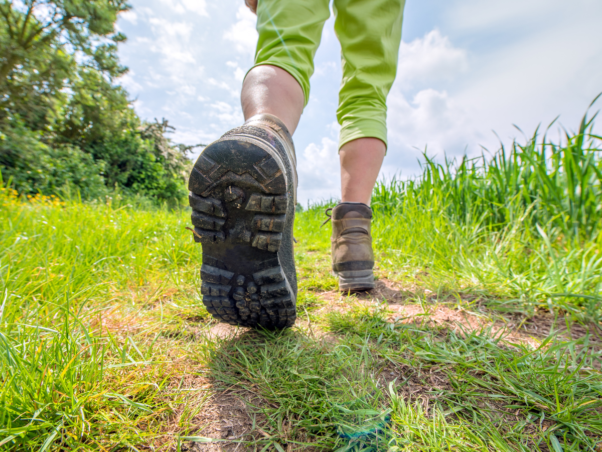 Is 10,000 Steps A Day A Workout For The Day?