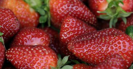 LA public health officials link multi-state hepatitis A outbreak to San Diego frozen fruit importer