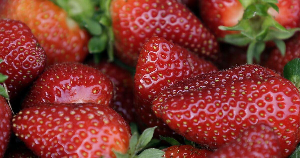 LA public health officials link multi-state hepatitis A outbreak to San Diego frozen fruit importer