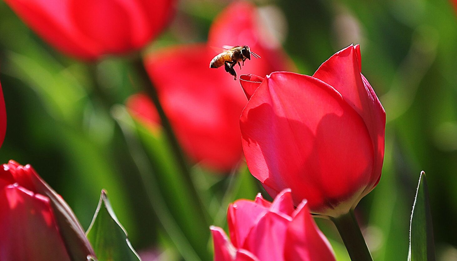 Spring Recipes: Healthy Eating in Spring