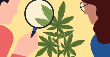 Weed, Happiness and Comfort Foods