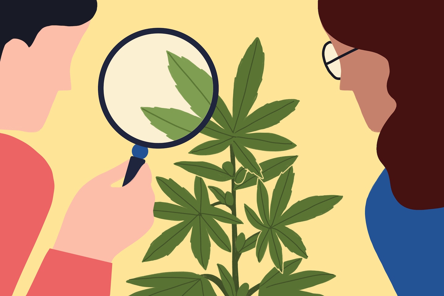 Weed, Happiness and Comfort Foods