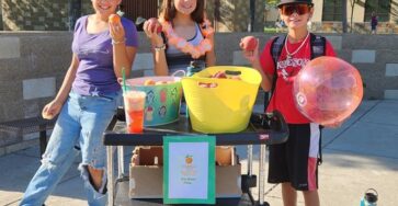 A Fruitful Summer at Walnut