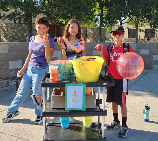 A Fruitful Summer at Walnut