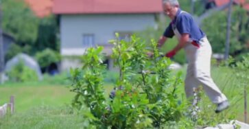 Here's why experts say gardening matters when it comes to exercise