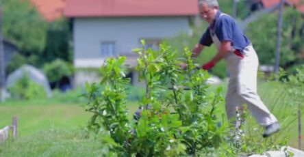 Here's why experts say gardening matters when it comes to exercise