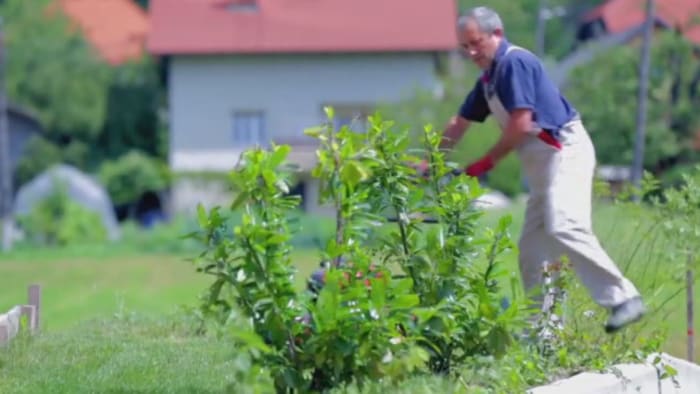 Here's why experts say gardening matters when it comes to exercise